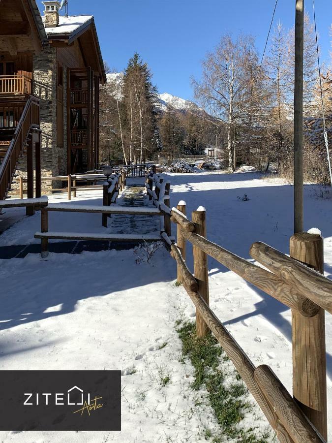 Zitelli Aosta Villa Cogne Kültér fotó