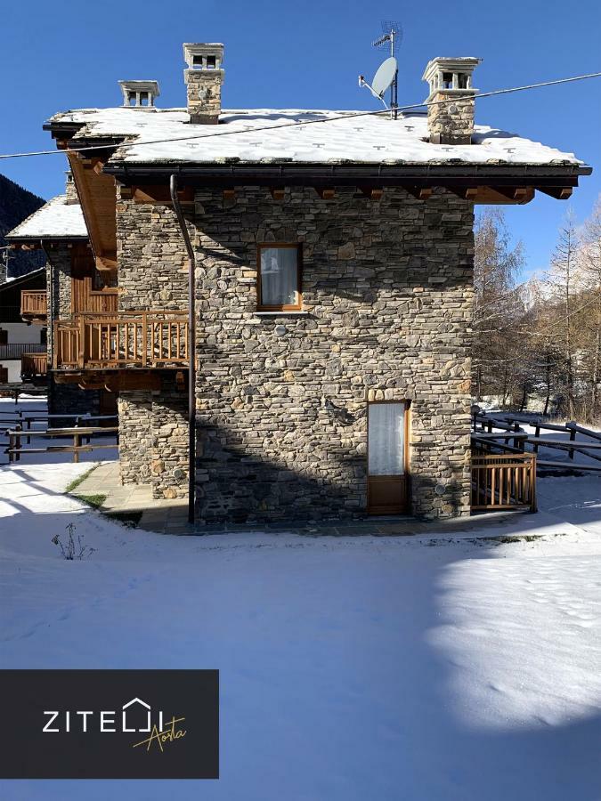 Zitelli Aosta Villa Cogne Kültér fotó