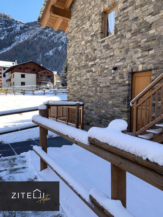 Zitelli Aosta Villa Cogne Kültér fotó