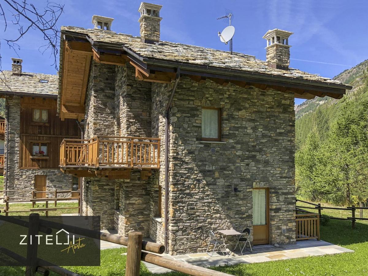 Zitelli Aosta Villa Cogne Kültér fotó